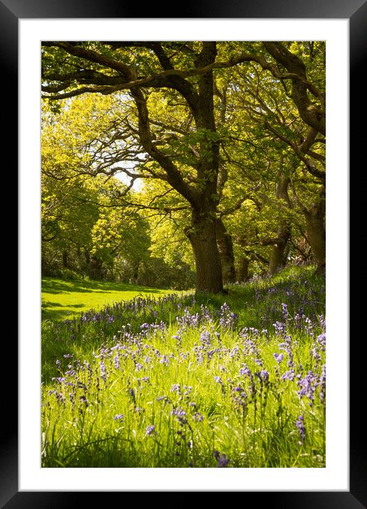 Wales in Spring Framed Mounted Print by Sean Wareing