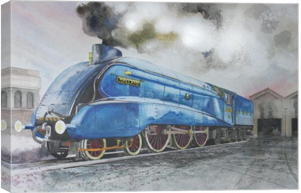  A4 4468 Mallard Canvas Print by John Lowerson