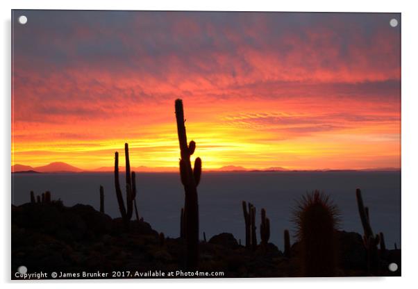 Giant Cacti at Sunset Salar de Uyuni Bolivia Acrylic by James Brunker