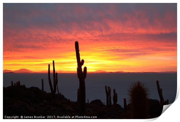 Giant Cacti at Sunset Salar de Uyuni Bolivia Print by James Brunker