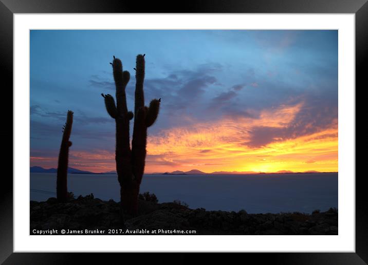 Giant Cactus at Sunset Salar de Uyuni Bolivia Framed Mounted Print by James Brunker