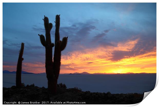 Giant Cactus at Sunset Salar de Uyuni Bolivia Print by James Brunker
