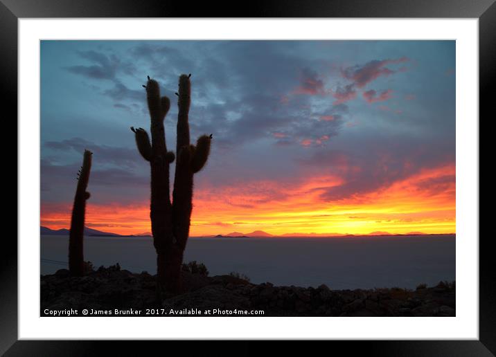 Forked Cactus at Sunset Salar de Uyuni Bolivia Framed Mounted Print by James Brunker