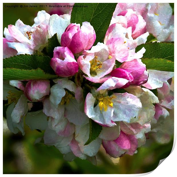 Arty Apple Blossom Print by Jim Jones