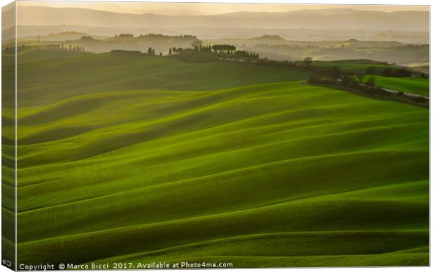 Tuscany landscape Canvas Print by Marco Bicci