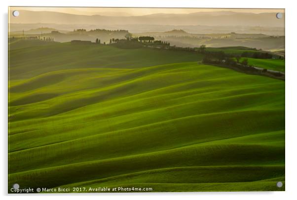 Tuscany landscape Acrylic by Marco Bicci