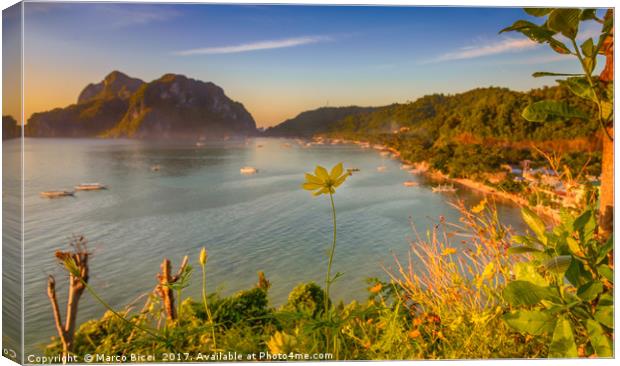 Close up of a yellow flower with El Nido Town in b Canvas Print by Marco Bicci