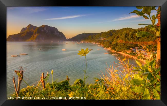 Close up of a yellow flower with El Nido Town in b Framed Print by Marco Bicci