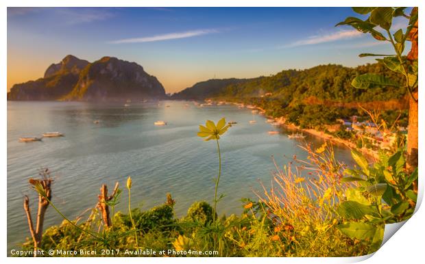 Close up of a yellow flower with El Nido Town in b Print by Marco Bicci