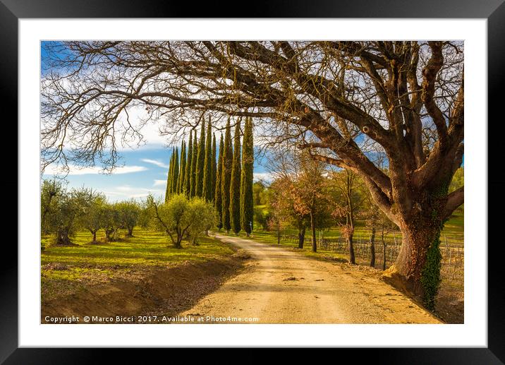 View of a path in the Tuscany countryside Framed Mounted Print by Marco Bicci