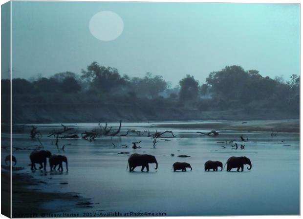 Elephant Crossing Canvas Print by Henry Horton