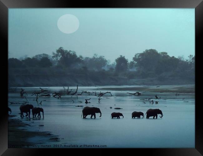 Elephant Crossing Framed Print by Henry Horton