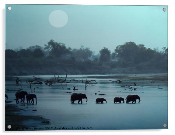 Elephant Crossing Acrylic by Henry Horton