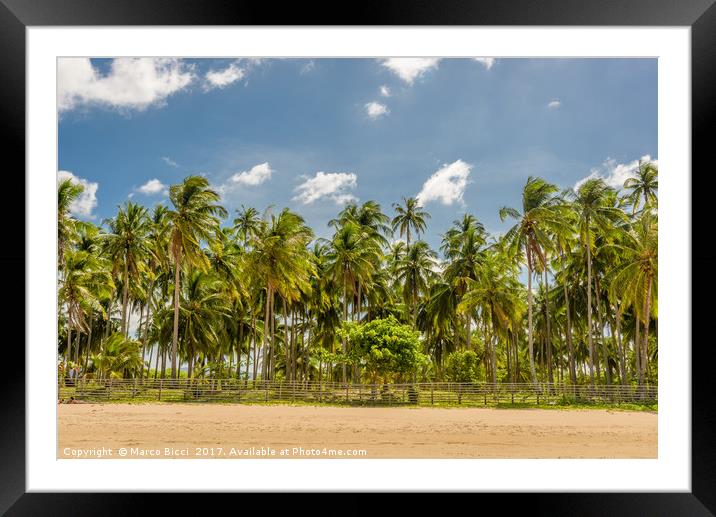 Forest of palm trees Framed Mounted Print by Marco Bicci