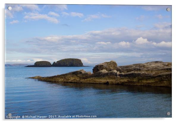 Rocks off the Irish Coast  Acrylic by Michael Harper
