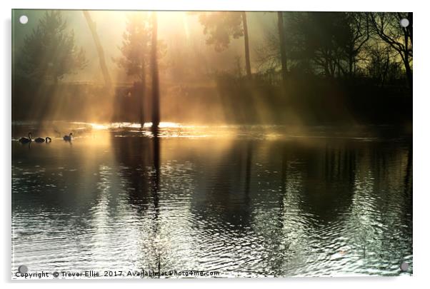Early Light over Thornton Reservoir Acrylic by Trevor Ellis