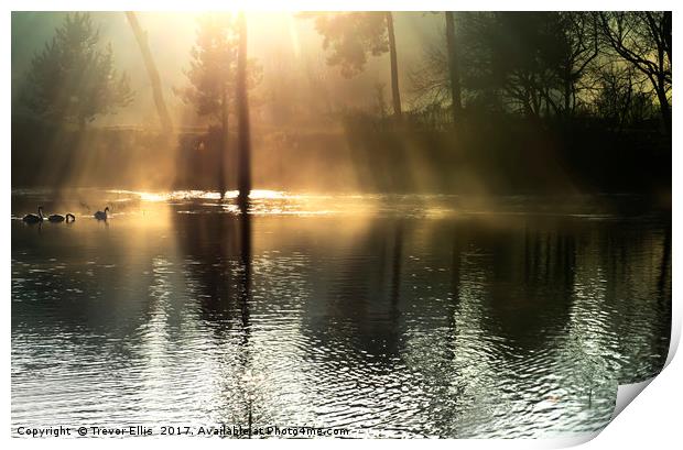 Early Light over Thornton Reservoir Print by Trevor Ellis