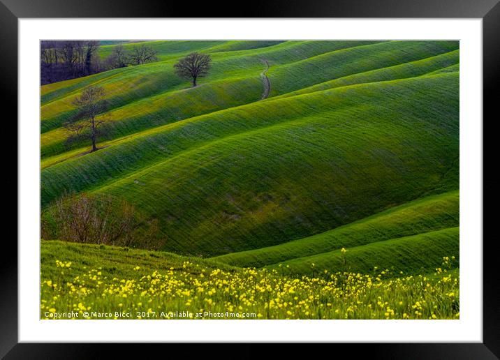 Green hills and flowers Framed Mounted Print by Marco Bicci