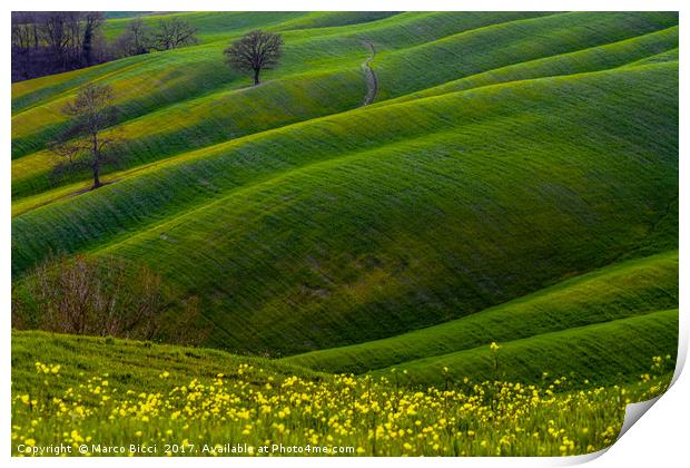 Green hills and flowers Print by Marco Bicci