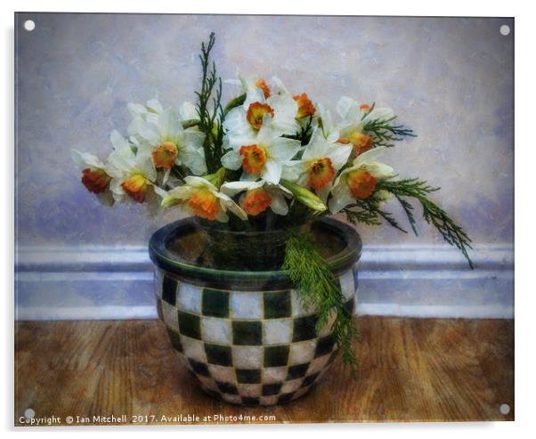 Spring Daffodils Acrylic by Ian Mitchell