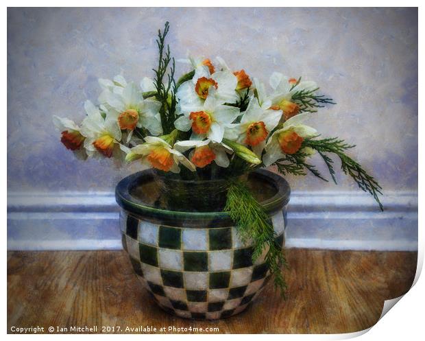 Spring Daffodils Print by Ian Mitchell