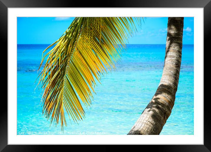 Palm tree leaf Framed Mounted Print by Marco Bicci