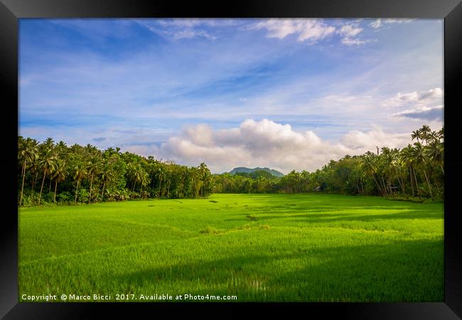 Countryside of Bohol Framed Print by Marco Bicci