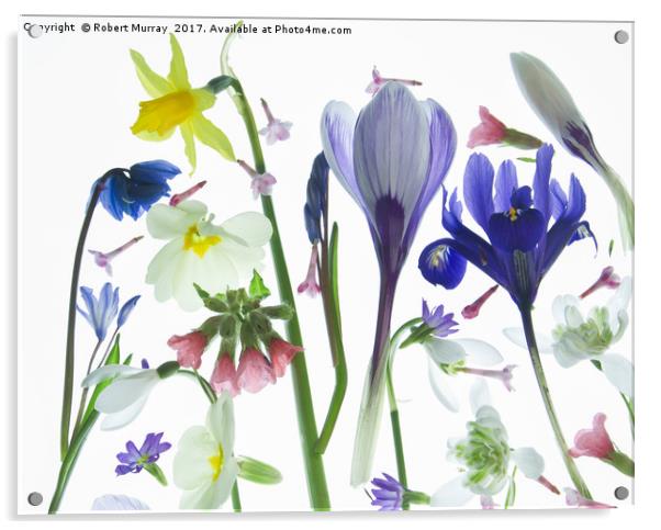 Spring Flowers Acrylic by Robert Murray