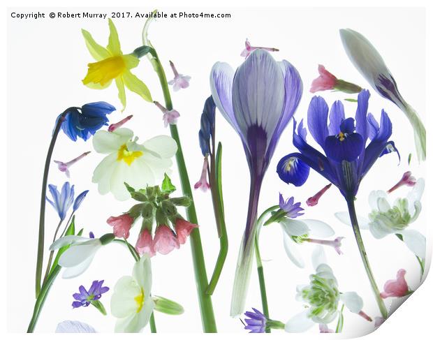 Spring Flowers Print by Robert Murray