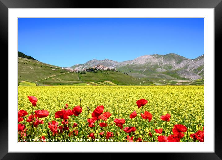 Flowery field Framed Mounted Print by Marco Bicci