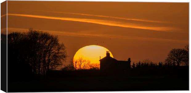 Lincolnshire Sunset Canvas Print by Stephen Ward
