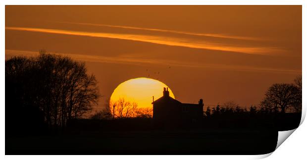 Lincolnshire Sunset Print by Stephen Ward