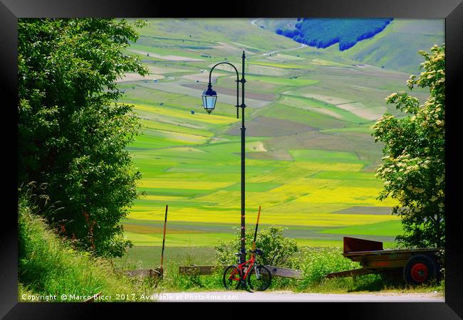 Bicycle leaning on a street lamp Framed Print by Marco Bicci