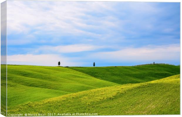 Val d'Orcia landscape Canvas Print by Marco Bicci