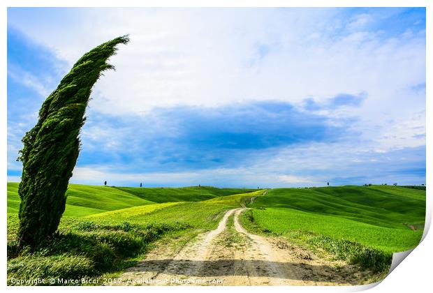 Tuscany dirt road Print by Marco Bicci