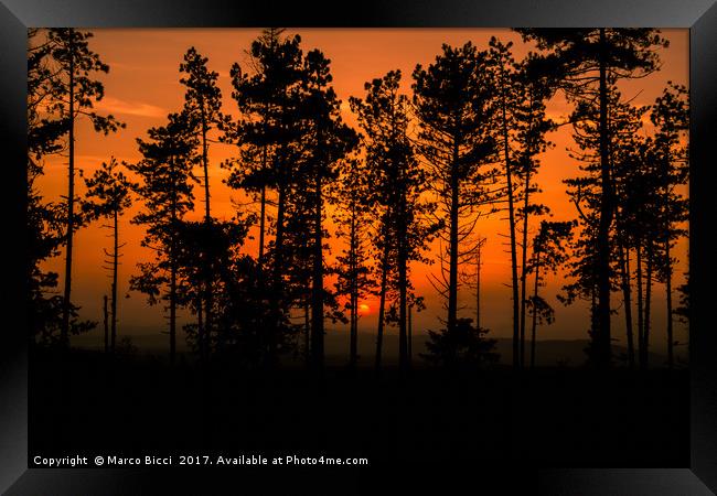 Sunset in the woods Framed Print by Marco Bicci