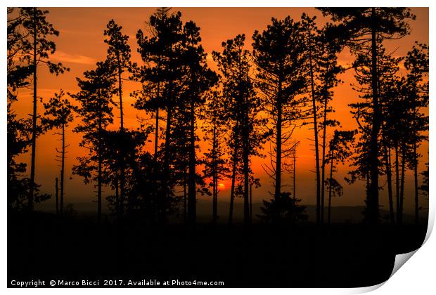 Sunset in the woods Print by Marco Bicci