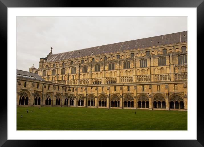 Norwich Cathedral Quadrangle Framed Mounted Print by Tony Murtagh
