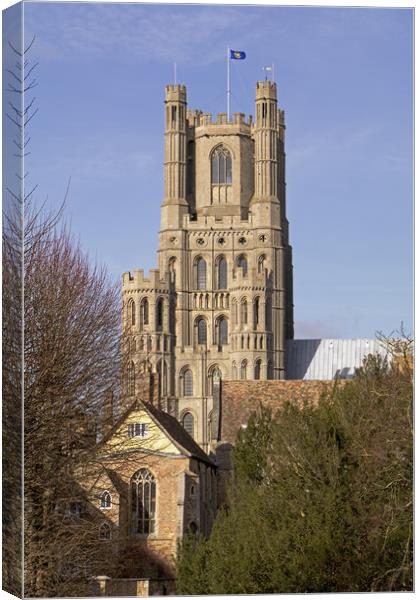 Ely Cathedral West Tower Canvas Print by Tony Murtagh