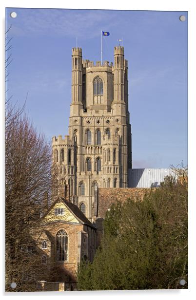 Ely Cathedral West Tower Acrylic by Tony Murtagh