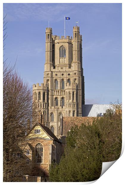 Ely Cathedral West Tower Print by Tony Murtagh