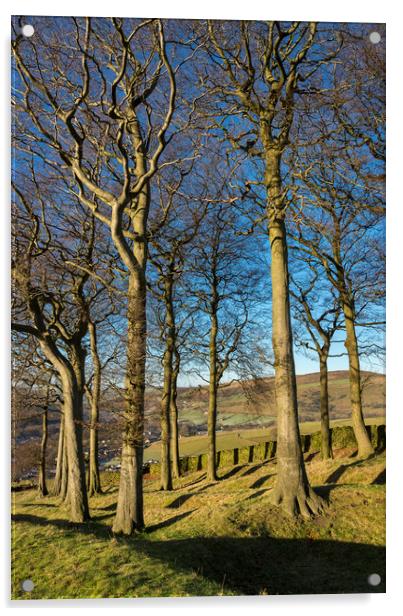 Twenty trees, Hayfield, Derbyshire Acrylic by Andrew Kearton