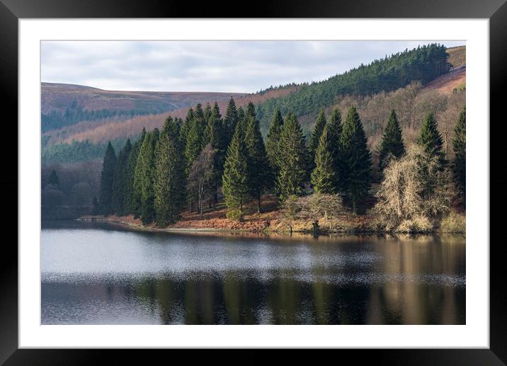 Forest trees beside Derwent reservoir, Derbyshire Framed Mounted Print by Andrew Kearton