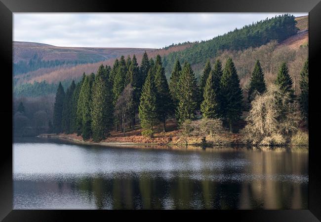 Forest trees beside Derwent reservoir, Derbyshire Framed Print by Andrew Kearton