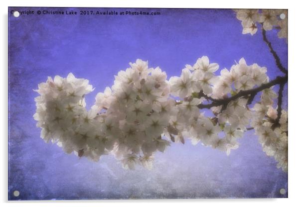 Spring Blossom Acrylic by Christine Lake