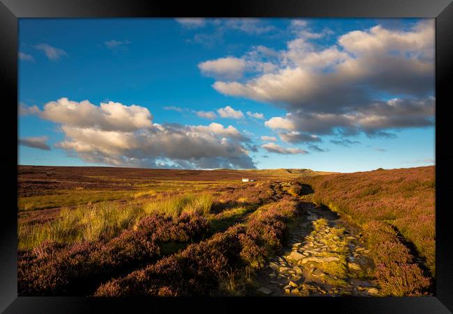 Heather blooming on moors above Hayfield Framed Print by Andrew Kearton