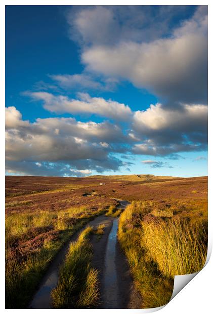 Snake path on the moors above Hayfield, Derbyshire Print by Andrew Kearton