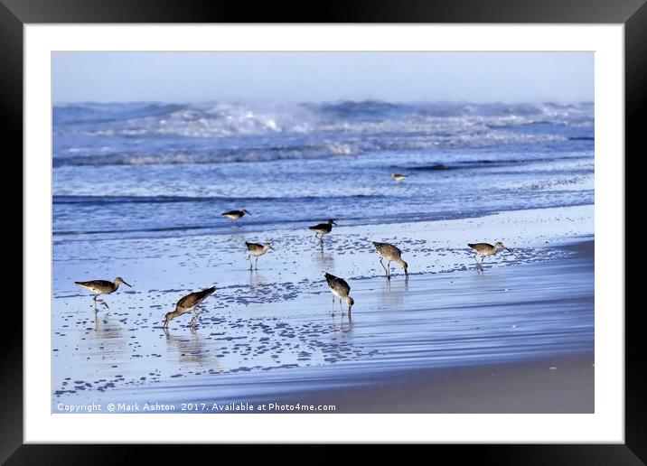 Between the beach and waves Framed Mounted Print by Mark Ashton