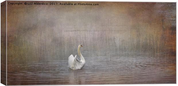 Swan Lake Canvas Print by LIZ Alderdice
