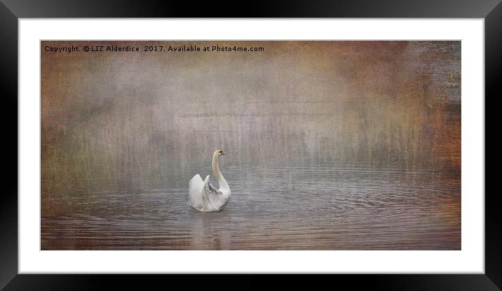Swan Lake Framed Mounted Print by LIZ Alderdice